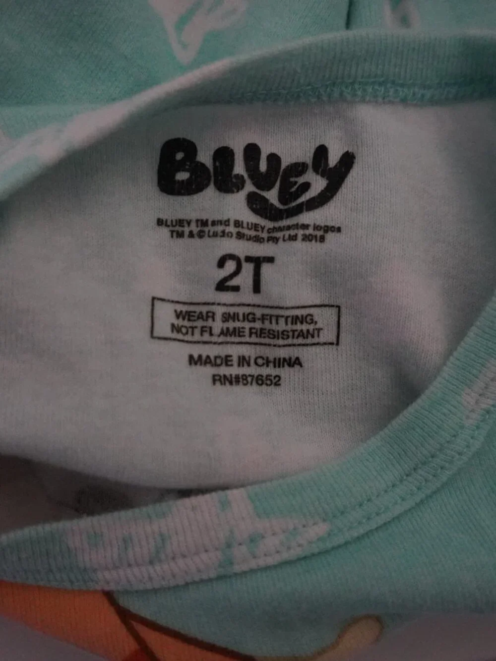 Kids' Mint Bluey & Bingo Character Pajama Top - Long Sleeve